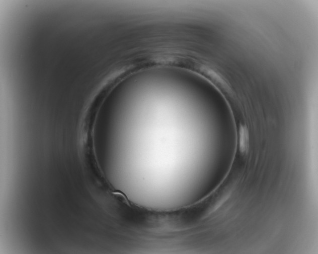 X0000089890723200707051228