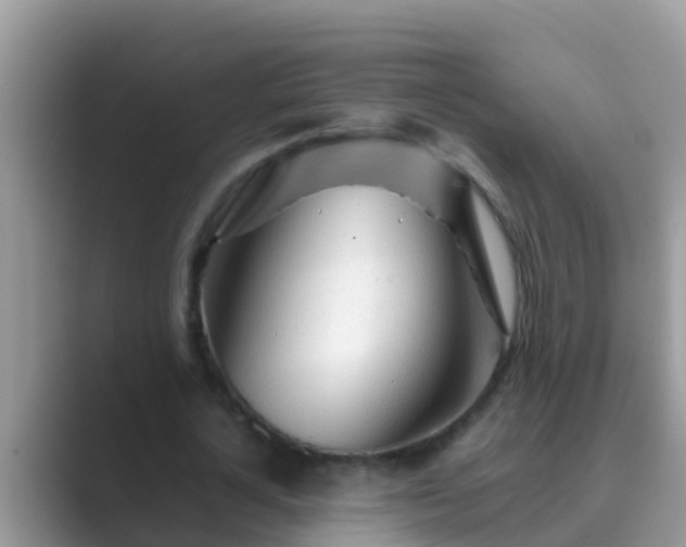 X0000089890724200707051228