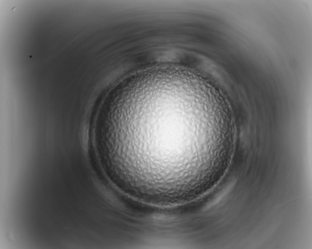 X0000089890725200707051228