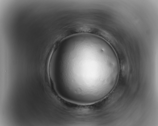 X0000089890729200707051228