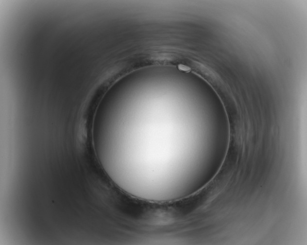 X0000089890731200707051228