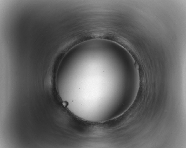 X0000089890732200707051228