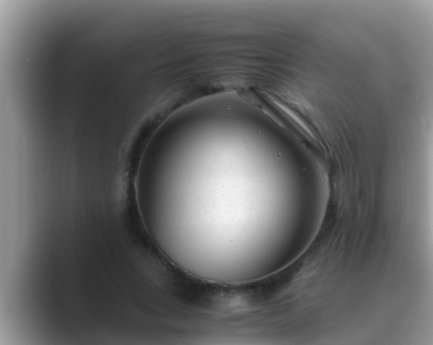 X0000089890735200707051228