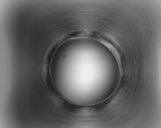 X0000089890736200707051228