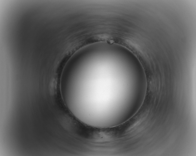 X0000089890739200707051228