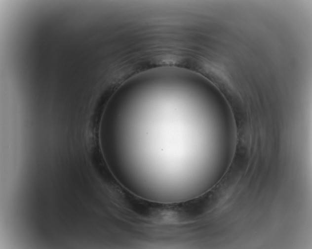 X0000089890743200707051228