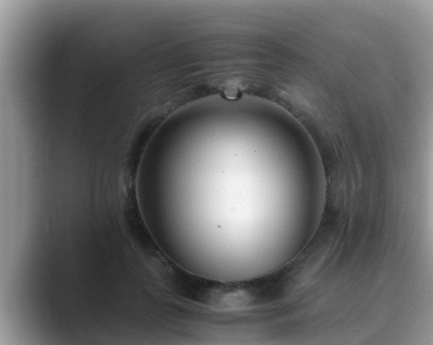 X0000089890747200707051228