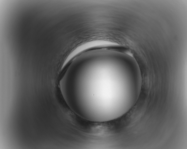 X0000089890750200707051228