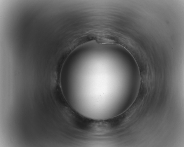 X0000089890752200707051228