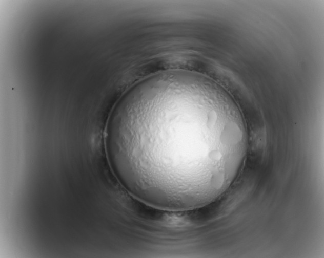 X0000089890753200707051228