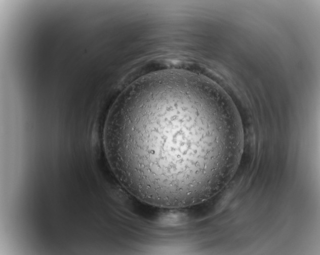 X0000089890754200707051228