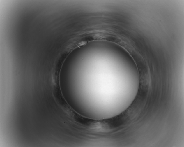 X0000089890755200707051228