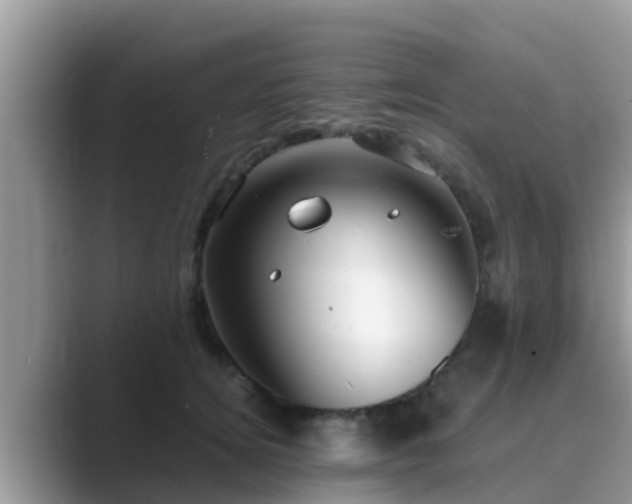 X0000089890756200707051228