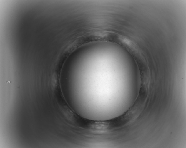 X0000089890758200707051228