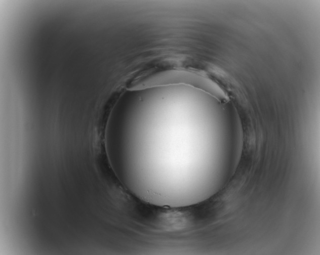 X0000089890759200707051228