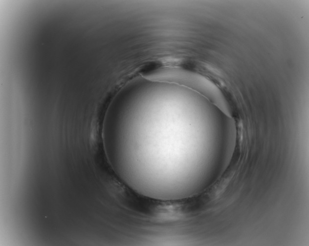 X0000089890760200707051228