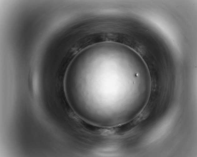 X0000089890765200707051228