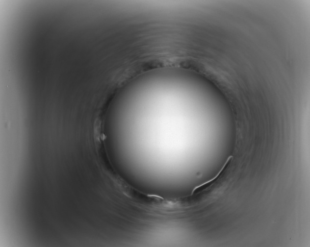 X0000089890768200707051228