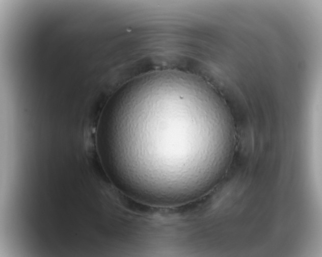 X0000089890770200707051228