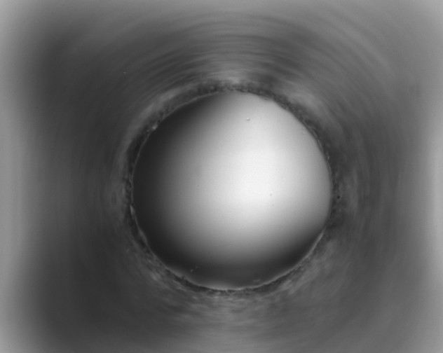 X0000089890776200707051227