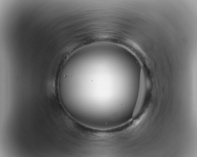 X0000089890777200707051227