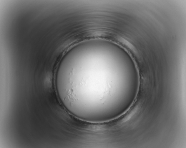 X0000089890778200707051227