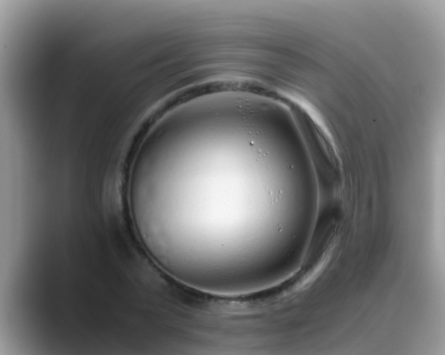 X0000089890783200707051227