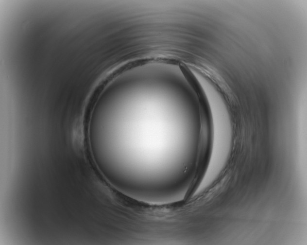 X0000089890784200707051227