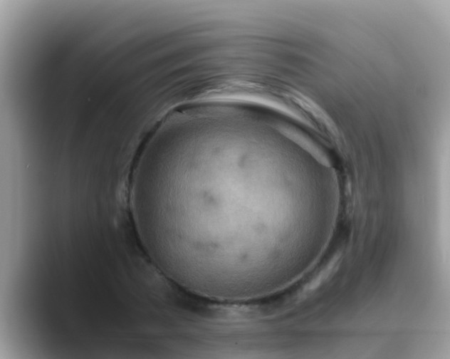 X0000089890785200707051227