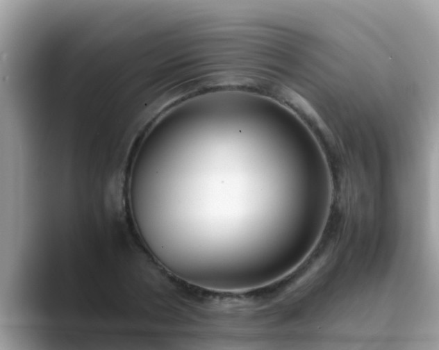 X0000089890786200707051227