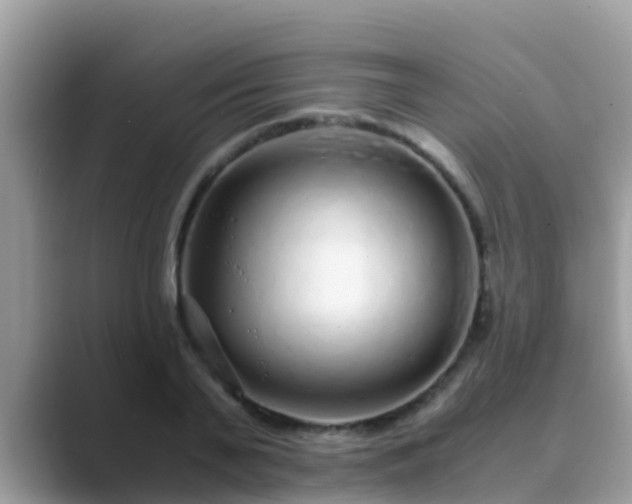 X0000089890791200707051227