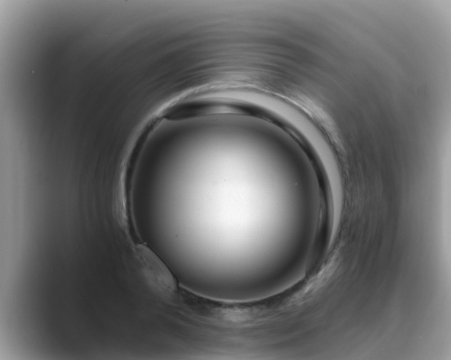 X0000089890792200707051227