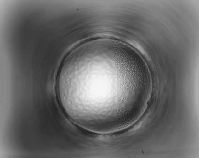 X0000089890799200707051227