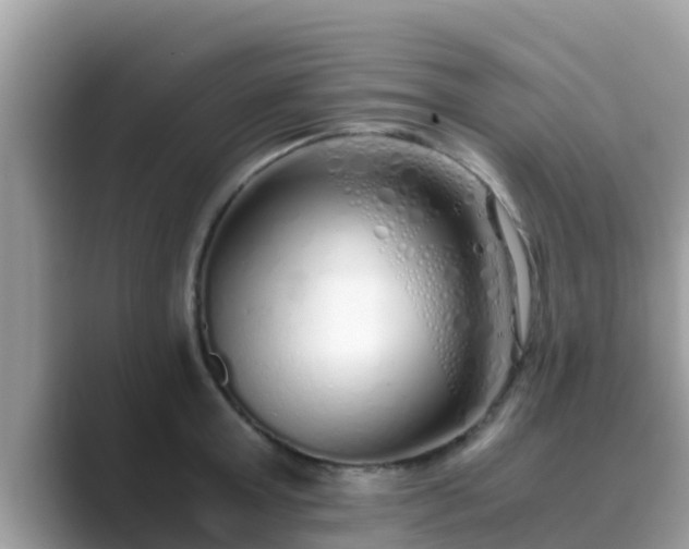 X0000089890803200707051227