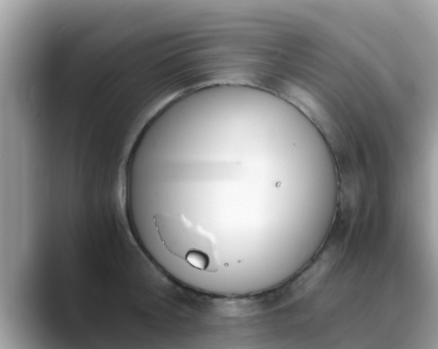 X0000089890804200707051227