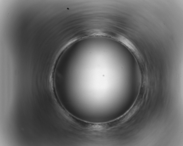 X0000089890806200707051227