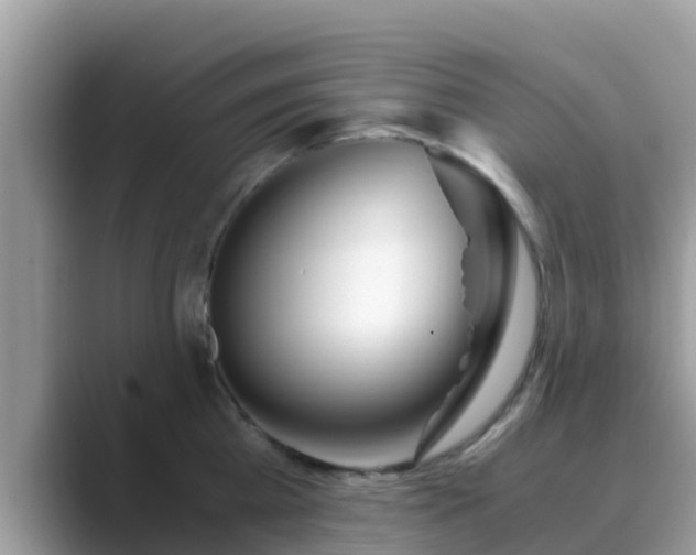 X0000089890809200707051227