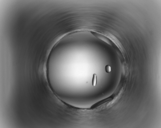 X0000089890812200707051227