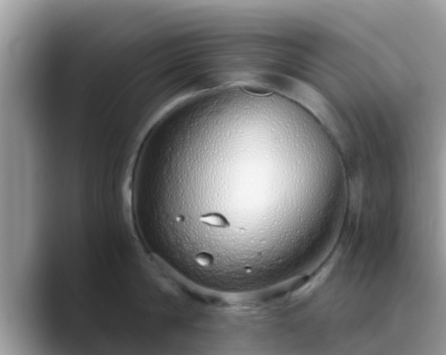 X0000089890814200707051227