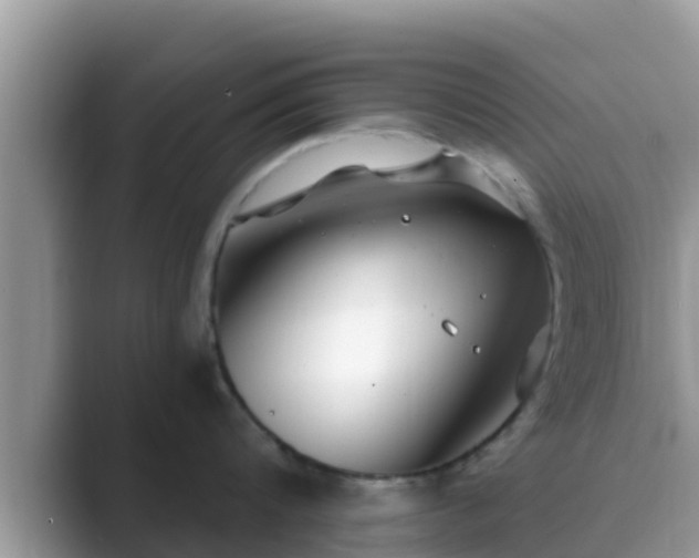 X0000089890816200707051227