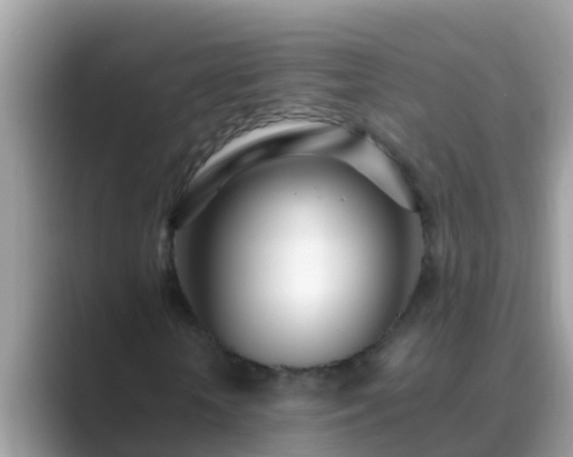 X0000089890818200707051226