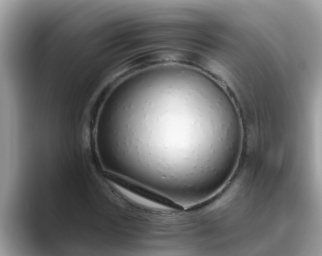 X0000089890827200707051227