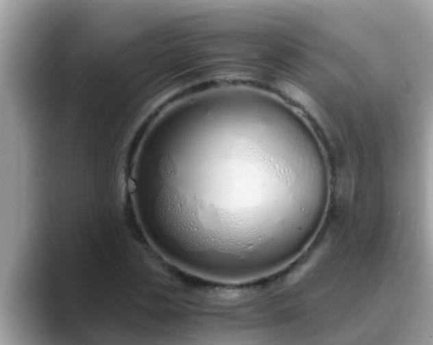 X0000089890829200707051227