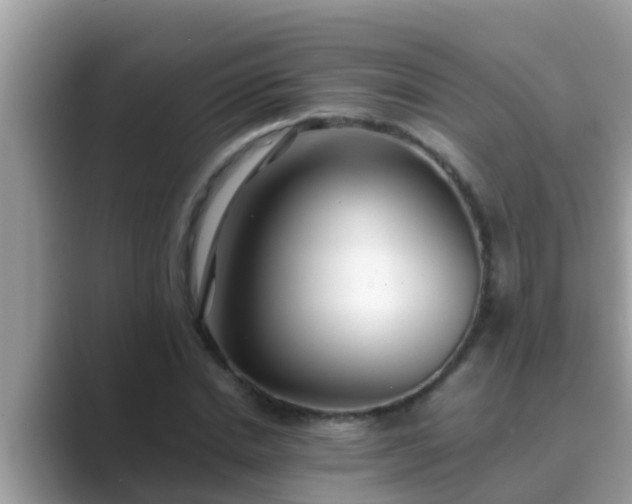 X0000089890830200707051227