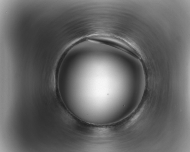 X0000089890838200707051227