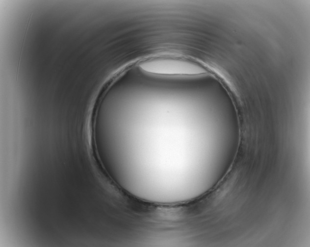 X0000089890840200707051227