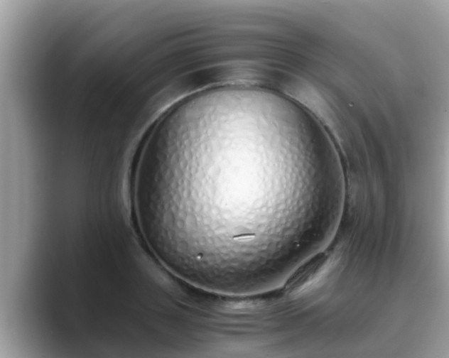 X0000089890843200707051227