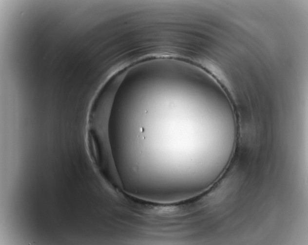 X0000089890845200707051227