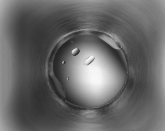 X0000089890846200707051227