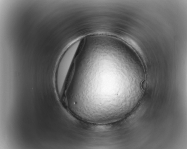 X0000089890847200707051227